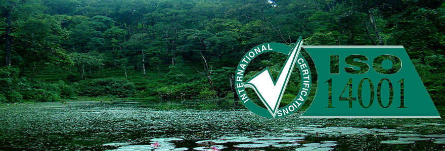 L analyse Environnementale ISO 14001 C est Quoi