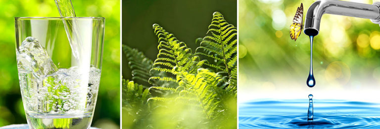 L analyse Environnementale ISO 14001 C est Quoi